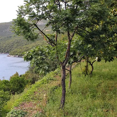 House With A Parking Space Molunat, Dubrovnik - 8980 Tatil Evi *