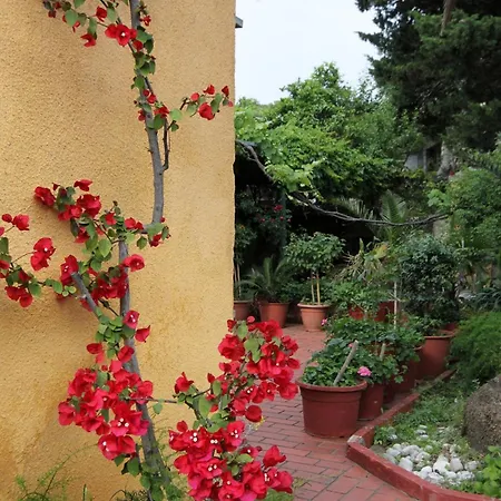 House With A Parking Space Molunat, Dubrovnik - 8980 Tatil Evi *