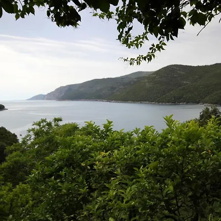 House With A Parking Space Molunat, Dubrovnik - 8980 * Gruda